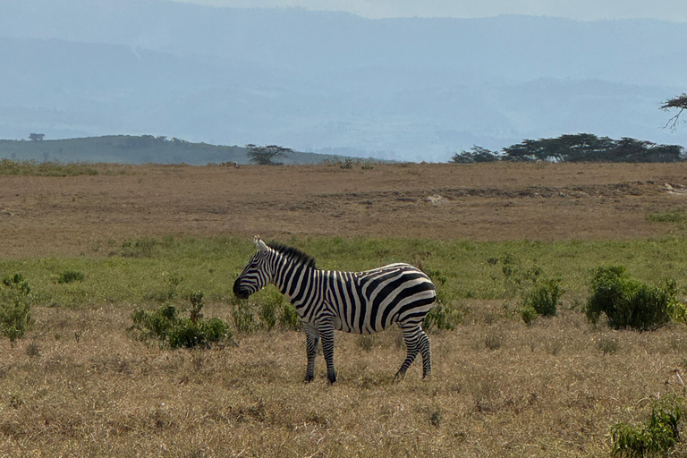 Lake Camping, Hell’s Gate, Quad bike & Crater Lake Naivasha
