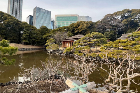 Tóquio : Excursão guiada a pé pelo jardim japonês em Hama RikyuExcursão a pé guiada nos Jardins de Hama Rikyu