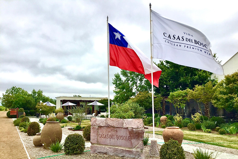 Casablanca Valley: 3 Wineries Tour with 11 Wine Tastings