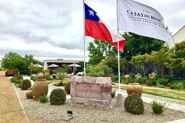 Casablanca Valley: 3 Wineries Tour with 11 Wine Tastings