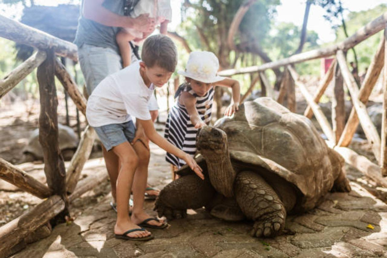 زنجبار: مدينة ستون، جزيرة السجن ومزرعة التوابل مع الغداءجولة خاصة بدون خدمة الاستقبال والتوصيل من 