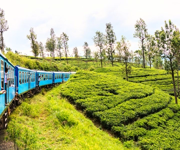 Sri Lanka 5-daagse privérondreis over het platteland Auto, hotels, eten