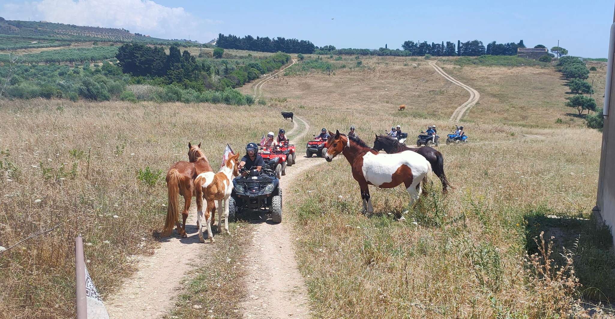 From Ribera, Quad Tour in the province of Agrigento - Housity