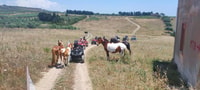 From Ribera, Quad Tour in the province of Agrigento - Housity