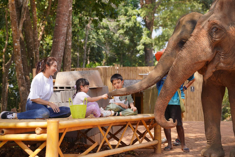 Phuket: Elephant Feeding Program With Sea View Feed and chill with the elephant.