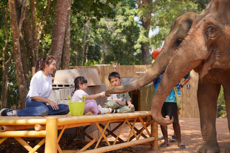 Programme de nourrissage des éléphants avec vue sur la mer (nourrissage uniquement)