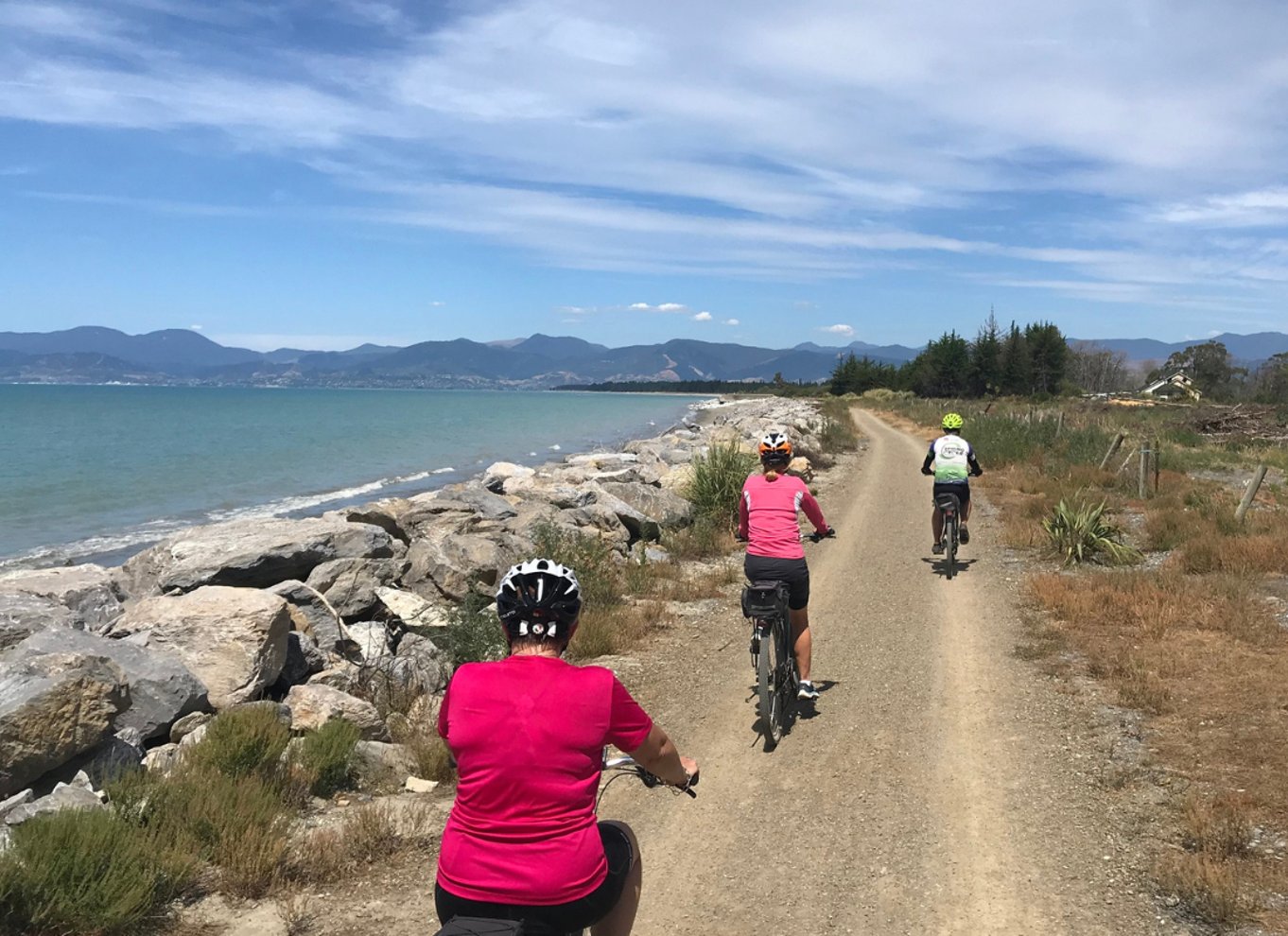 Nelson til Mapua: Heldags cykeleventyr med egen guide