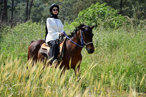 Marmaris: Horseback Riding Tour with Hotel Pickup