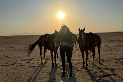 Hurghada: Horse Riding in the Desert & Beach Experience 1 HR Desert Horse Riding Experience without transfer