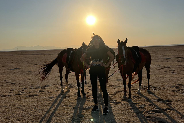 Hurghada: Horse Riding in the Desert & Beach Experience 1 HR Desert Horse Riding Experience without transfer