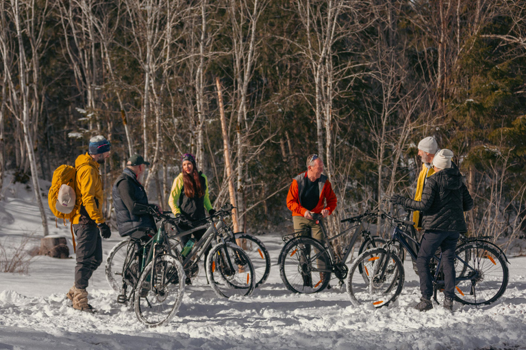 Discover Oslo by Bike