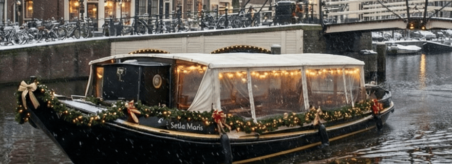 Amsterdam : croisière avec bar et guide de la région