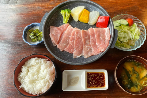 Nagoya: World Heritage Shirakawa-go Light-up Bus Tour Hida Pork Lunch (10:50AM Meet up)