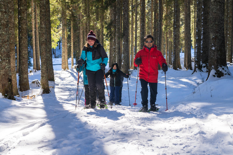 From Ljubljana/Bled: Beginner Snowshoe in Julian Alps From Bled - pickup at your accommodation