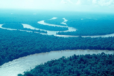 Von Loreto aus: Ganztag Río Nanay - Momón - Amazonas