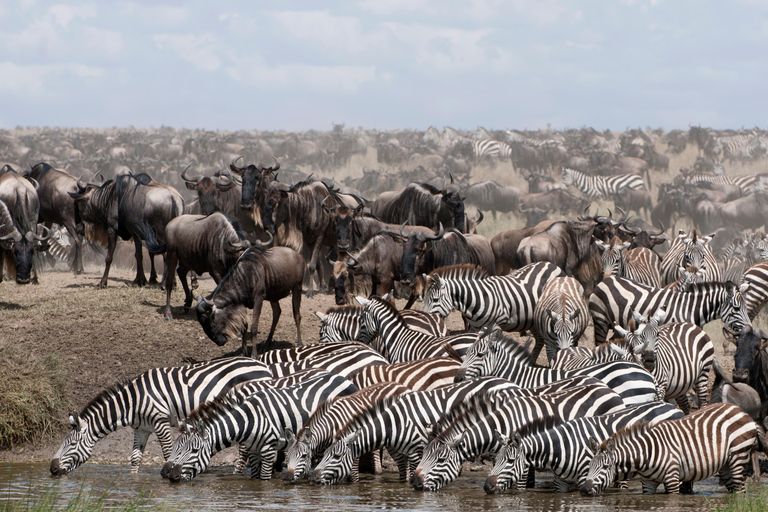 Kenya & Tanzania: 18-Day Safari with Zanzibar Beach Stay