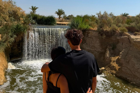 From Cairo: 4x4 Desert Safari, Waterfalls & Magic Lake Shared Tour: Wadi El Rayan, Magic Lake & Lake Qarun, Jeep