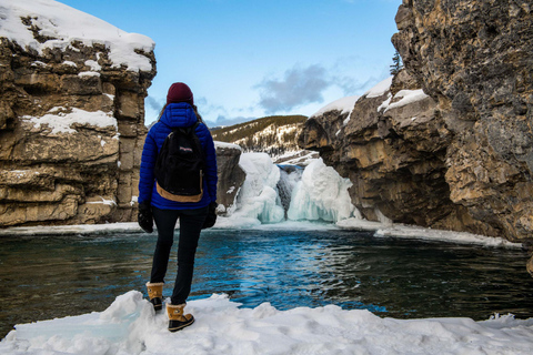 Calgary: Banff Gondola/Upper Hot Springs, Johnston CanyonResa Alberta Canmore Visitor Center kl. 9:00 Upphämtning