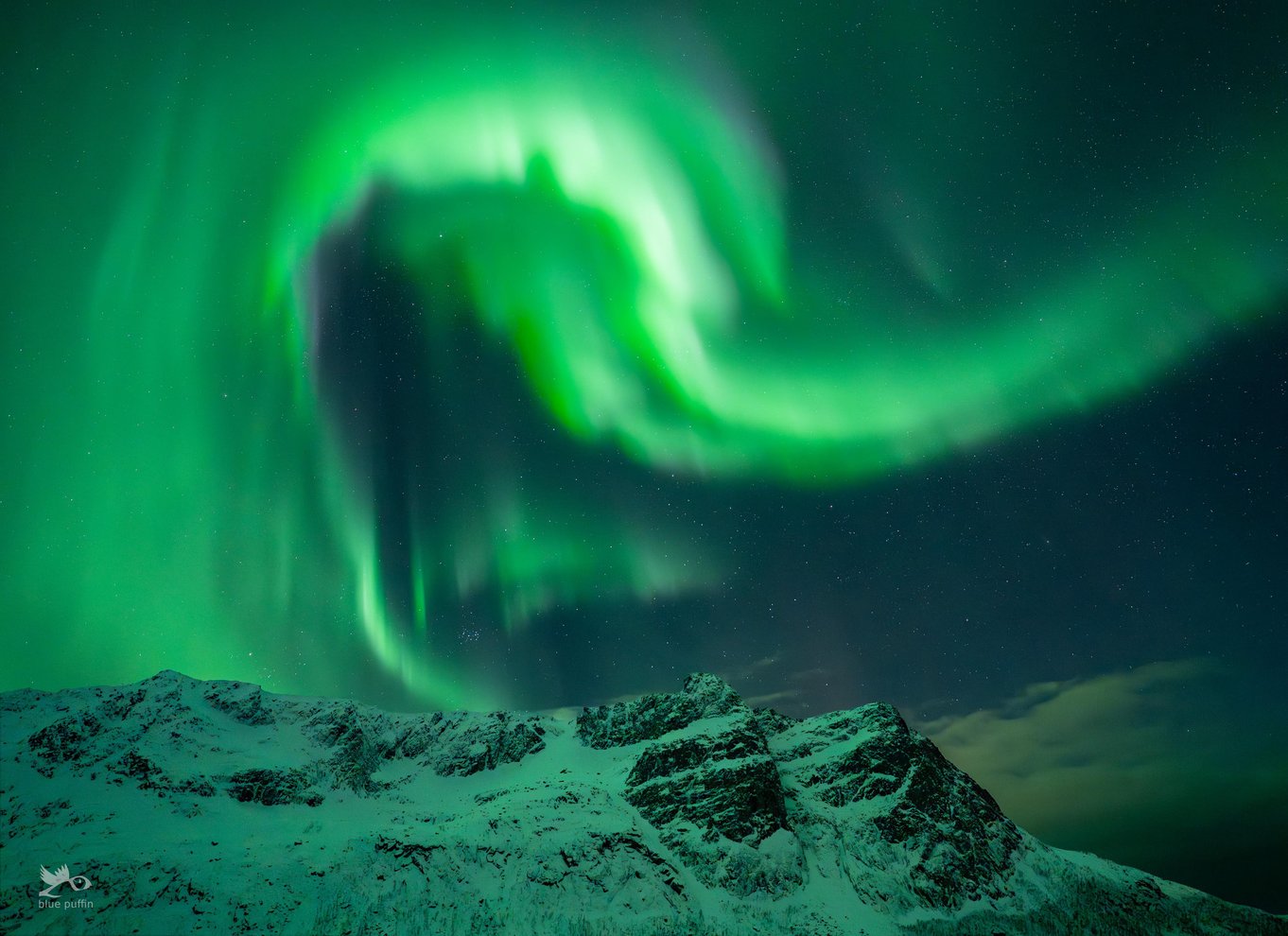 Tromsø: Nordlys i minibus med gratis fotos og et varmt måltid