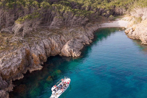 Estartit: Medes Islands Traditional Boat Trip, Caves & Swim