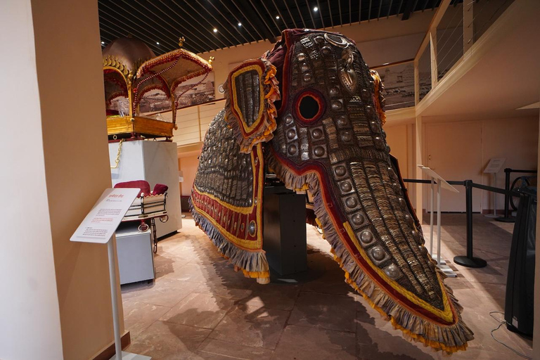 جايبور: تذكرة متحف قصر المدينةتذكرة دخول قصر المدينة