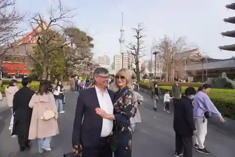 Tokyo City, Nakameguro Cherry Blossom Viewing Evening Half