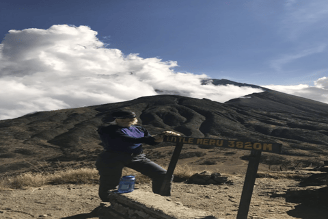 Tanzania: Kilimanjaro 10-Day Adventure with Hot Springs