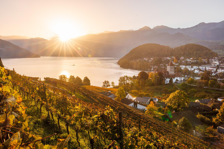 Conductor privado todo el día desde Interlaken&gt;Thun, Spiez, Lago