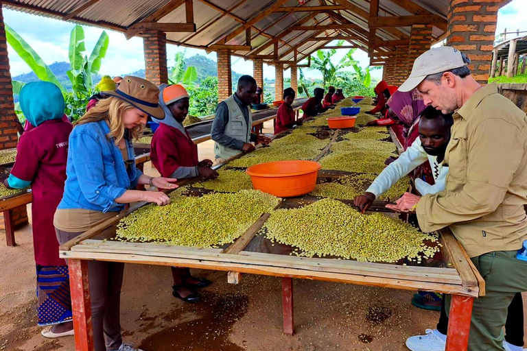 Kigali: tour della città e tour del caffè