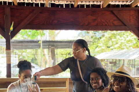 Marijuana Farm Tour From Falmouth/ Trelawny