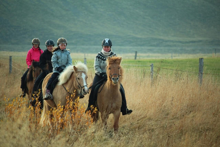 Varmahlid: 1-Hour Icelandic Horse Riding Tour