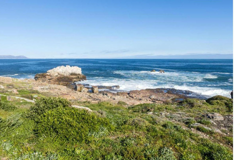 Vanuit Kaapstad: 12-daagse tour naar Johannesburg met overnachting