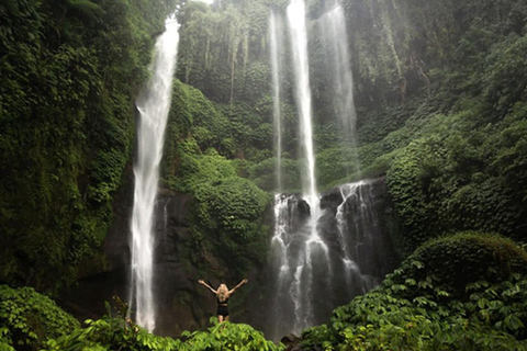 Bali: Lovina Dolphin Watching, Sekumpul Waterfall & Lunch Lovina Dolphin Watching, Sekumpul Waterfall & Lunch