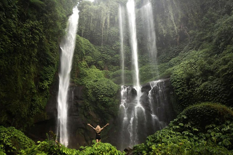 Bali: Lovina Dolphin Watching, Sekumpul Waterfall & Lunch Lovina Dolphin Watching, Sekumpul Waterfall & Lunch