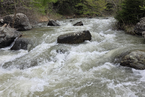Hiking the Secret Rkoni: Historic Path & Forest Picnic