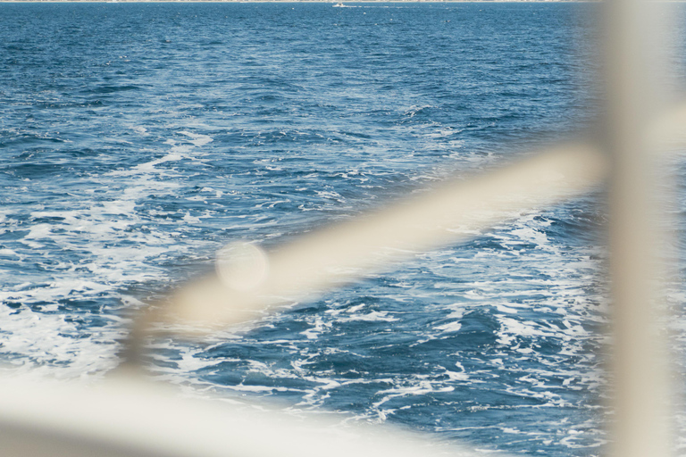 Maxi-Catamaran: Tour of the Languedoc Coast