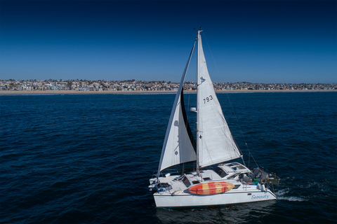 Marina Del Rey: 2 uur privé catamarantour door de jachthaven