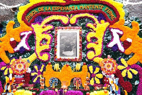 Accès au Musée Frida Kahlo avec Guide Numérique