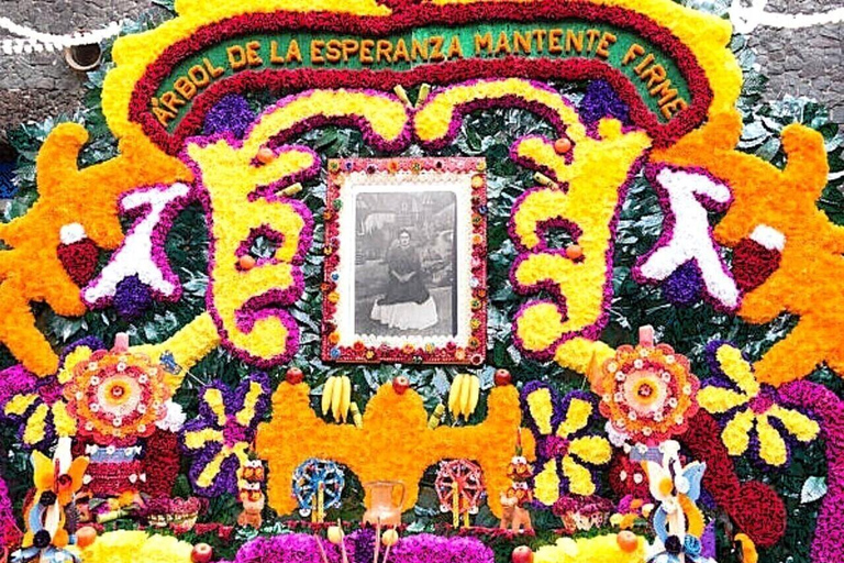 Accès au Musée Frida Kahlo avec Guide Numérique