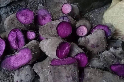 From Manila: Pampanga Ube Farm Tour with Snacks