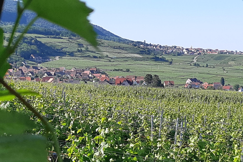 Visite d'une jounée Safari Villages et vignobles Dégustation de vinSafari Tour Villages et vignobles : Journée complète et dégustation de vins