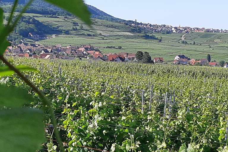 Visite d'une jounée Safari Villages et vignobles Dégustation de vinSafari Tour Villages et vignobles : Journée complète et dégustation de vins