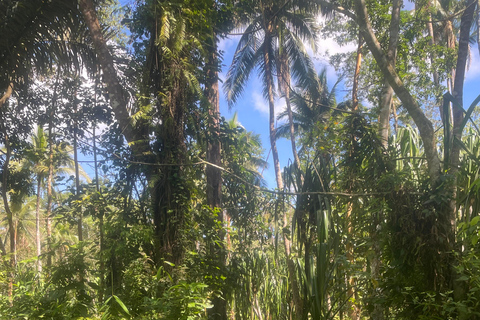 Manila: Private geführte Wanderung zu den Hulugan-Wasserfällen mit Abholung vom Hotel