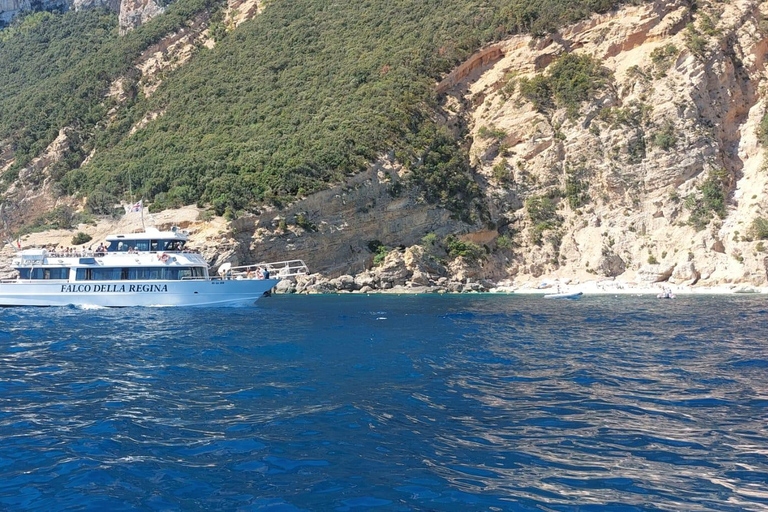 From Arbatax: Full-Day Guided Boat Tour of the Baunei Coast From Arbatax: Full-Day Guided Boat Tour of the Baunei Coast