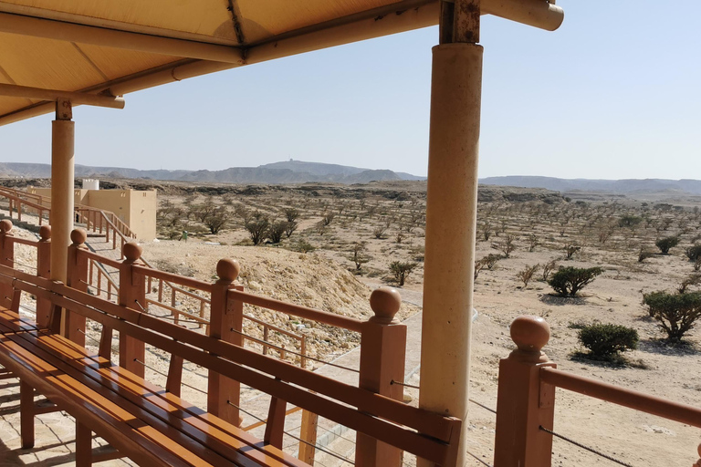 Salalah: Tour del tramonto nel deserto del Quartiere Vuoto