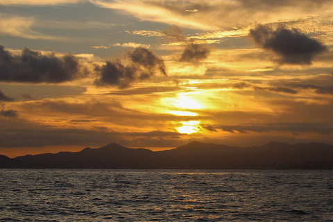 San Jose del Cabo Sunset Whale Watching