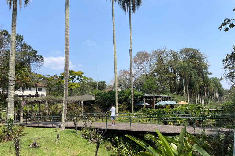 圣保罗：植物园与生物学家导览游（周末）生物学家带你游览圣保罗植物园