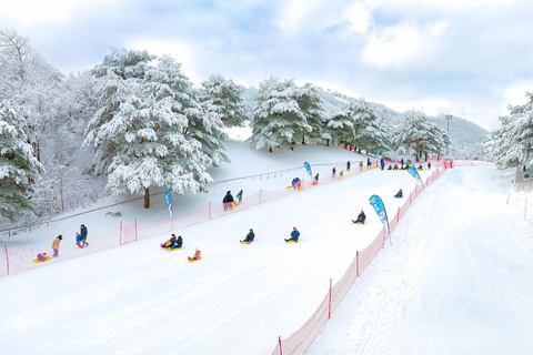 Snowyland, Cable Car Ticket and Shuttle Bus tour from Seoul Shuttle from Hotel the Designers Dongdaemun