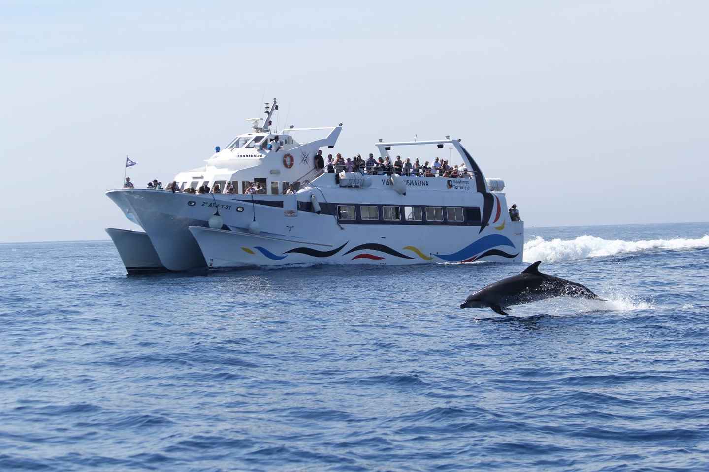 Torrevieja: Boat trip to Tabarca with underwater views