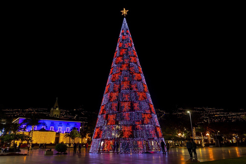 Funchal - Christmas Lights By TukTuk (1h) Xmas Funchal City Tour (1h)